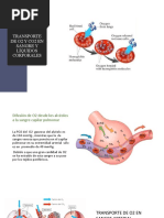 Transporte de O2 y Co2 en Sangre...