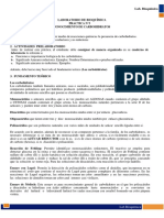 Laboratorio N°5 Reconocimiento de Carbohidratos PDF