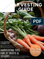 Harvesting Guide: Harvesting Tips For 37 Fruits & Veggies