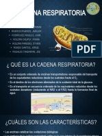 Cadena Respiratoria F