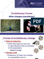 Evolutionary Forces: What Changes Populations?