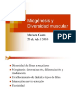 Miogenesis Tipos de Fibra