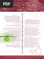 Infografia Sobre Enologia y Sommeleria