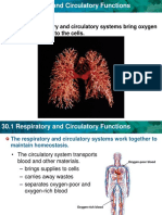 PowerPoint Presentation Resp and Circ