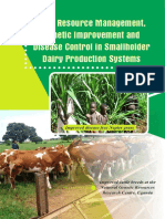 DAIRY BOOK by Jolly Kabirizi Et Al.