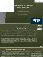 Flash Cards Sistema Vascular