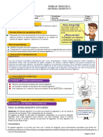 Guia Sistema Digesivo