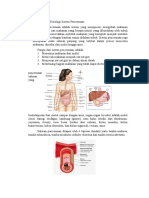 Anatomi Dan Fisiologi Sistem Pencernaan