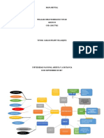 Mapa Mental Final