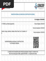 Registro RISEC Venezuela