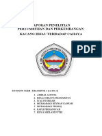 Kelompok 1 - 12 Ipa 4 - Data Penelitian Kacang Hijau