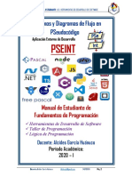 Manual de PSeint HDDSW 2020