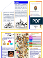 Trifoleado PDF