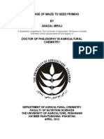 Response of Maize To Seed Priming BY Ghazal Miraj