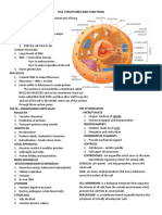 Cell Structures and Functions