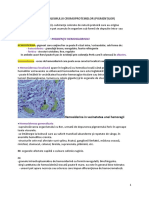 9.PIGMENTI (Cromoproteine)