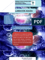 Inflamación Aguda