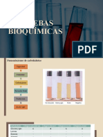 Pruebas Bioquímicas