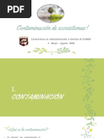 Actividad VI Contaminación de Ecosistemas PDF