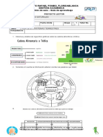 Plan Lector Ciencias Naturales 3, 4 y 5 Grado