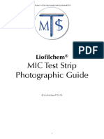 Reading Guide MIC E-Test