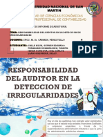 Responsabilidad en La Deteccion de Irregularidades