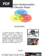 Elementos Fundamentales Del Derecho Penal