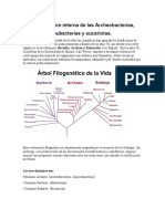 (Para Imprimir) Sistema de Clasificación-Los Tres Dominios