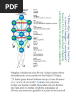 Kabala Sefirot Cuerpo