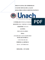 Analisis Caso Colmenares PDF