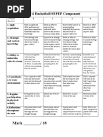 Year 6 Basketball Sepep Component Assessment