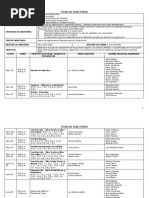 Plan de Auditorias en Sitio 2020