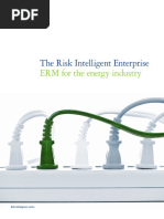 The Risk Intelligent Enterprise: ERM For The Energy Industry