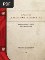 Apuntes de Principios de Energetica - Ocr PDF