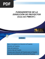 Fundamentos de La Direccion de Proyectos - PPSX