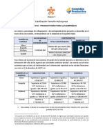 Anexo 7 Clasificación Empresas - 0