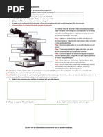 El Miroscopio Partes y Funcionamiento