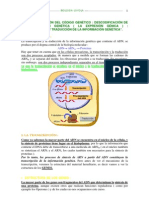 Expresión Del Código Genético Transcricpción y Traducción