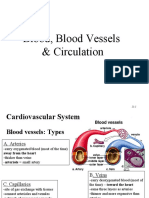 Blood, Blood Vessels & Circulation