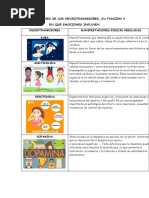 Las Relaciones de Los Neurotrasmisores