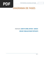 Informe N°3 Diagrama de Fases