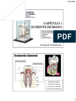 Restauradora PDF