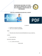 Pae en Salud Mental