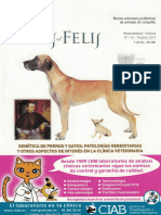 345 2019 02 05 Patologias - Hereditarias - en - Gatos PDF