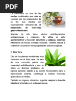 Plantas Medicinales Marlon 2