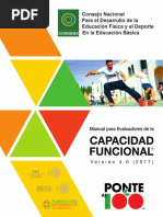 Manual Ponte Al 100 2017 PDF