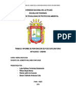 Informe Final Pozo Exploratorio