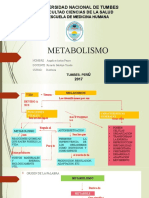 Metabolismo Biofisica