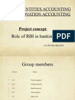 Special Entities Accounting and Innovation Accounting: Project Concept