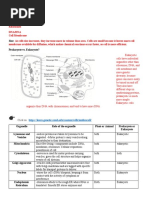 My Copy Cell Organelle Ws 1